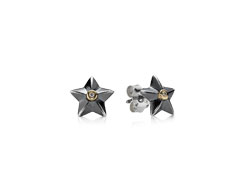 Kolczyki ze srebra z 14k złotem i diamentem 0.008ct, oksydowane