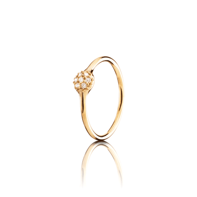 970105D.png